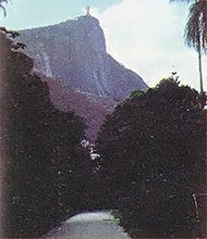 The Corcovado, as seen from Rio's botanical gardens.